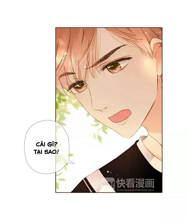 Tình Yêu Là Màu Hoa Anh Thảo Chapter 28.1 - 26