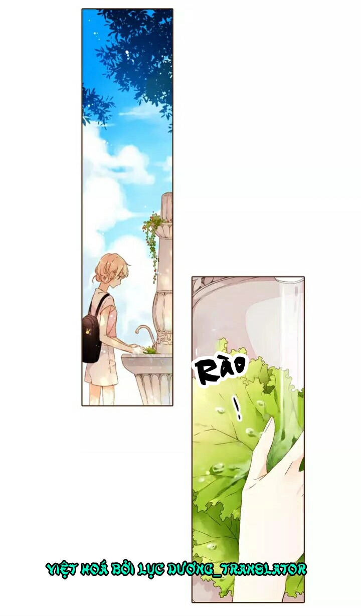 Tình Yêu Là Màu Hoa Anh Thảo Chapter 28.1 - 29