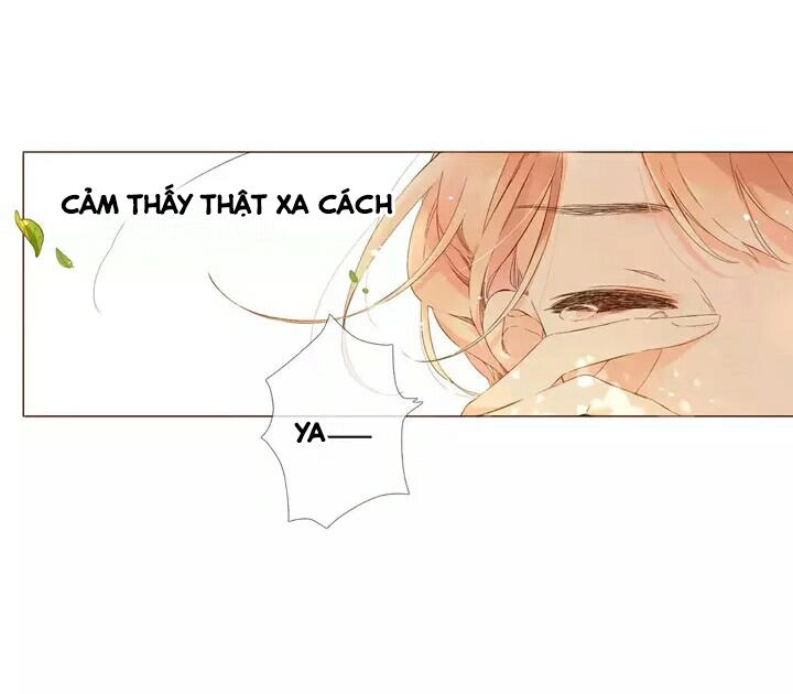 Tình Yêu Là Màu Hoa Anh Thảo Chapter 28.1 - 43