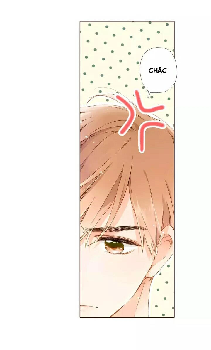 Tình Yêu Là Màu Hoa Anh Thảo Chapter 28.2 - 4