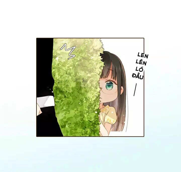 Tình Yêu Là Màu Hoa Anh Thảo Chapter 28.2 - 28