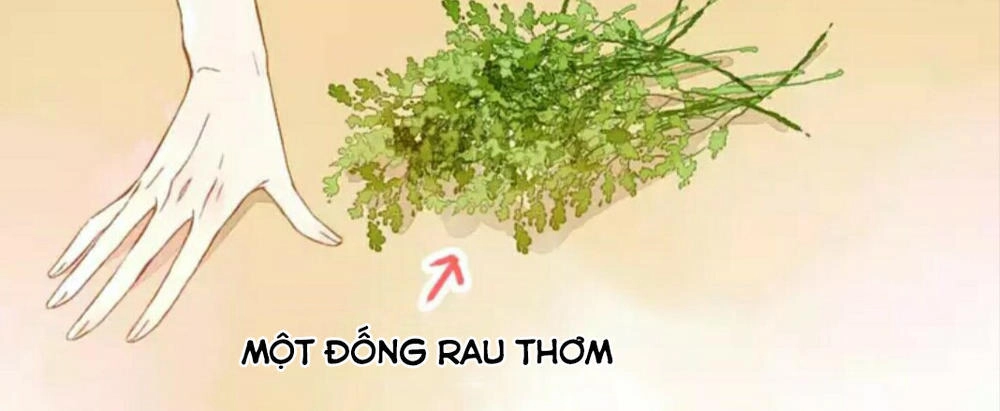 Tình Yêu Là Màu Hoa Anh Thảo Chapter 29.2 - 5