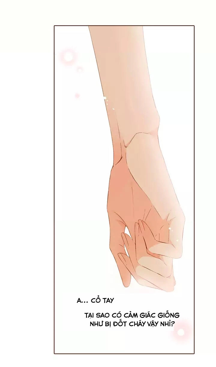 Tình Yêu Là Màu Hoa Anh Thảo Chapter 29.3 - 11