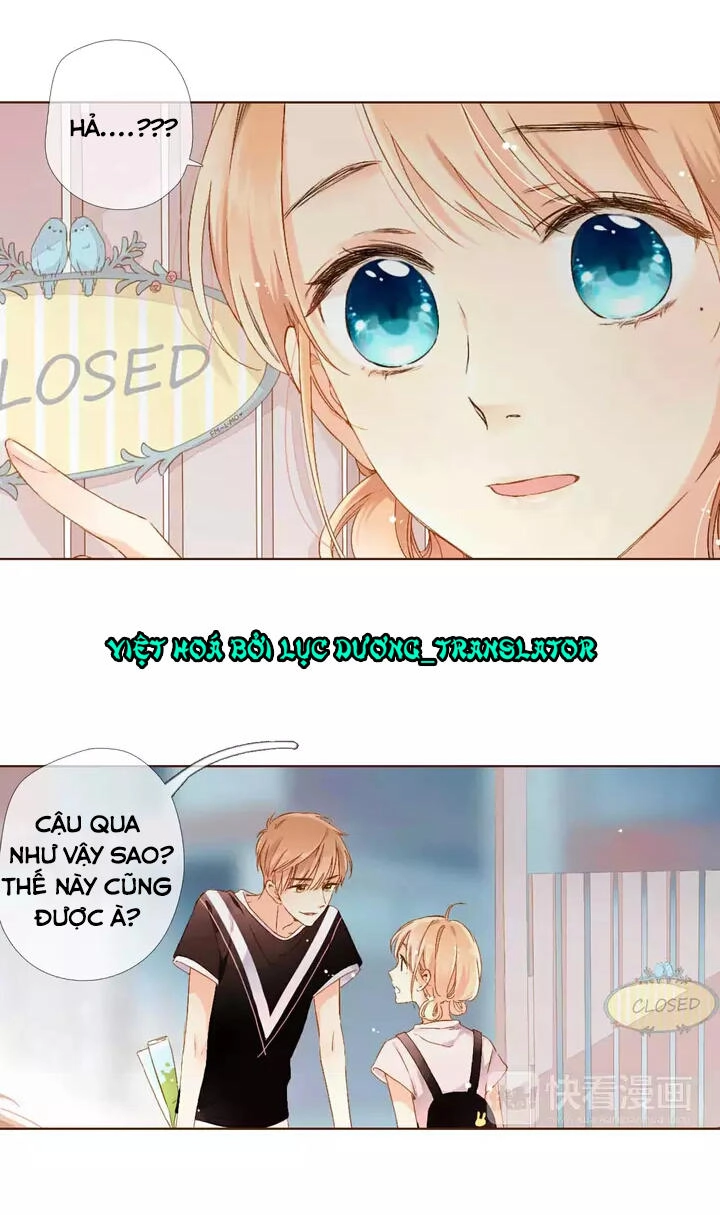 Tình Yêu Là Màu Hoa Anh Thảo Chapter 29.3 - 33