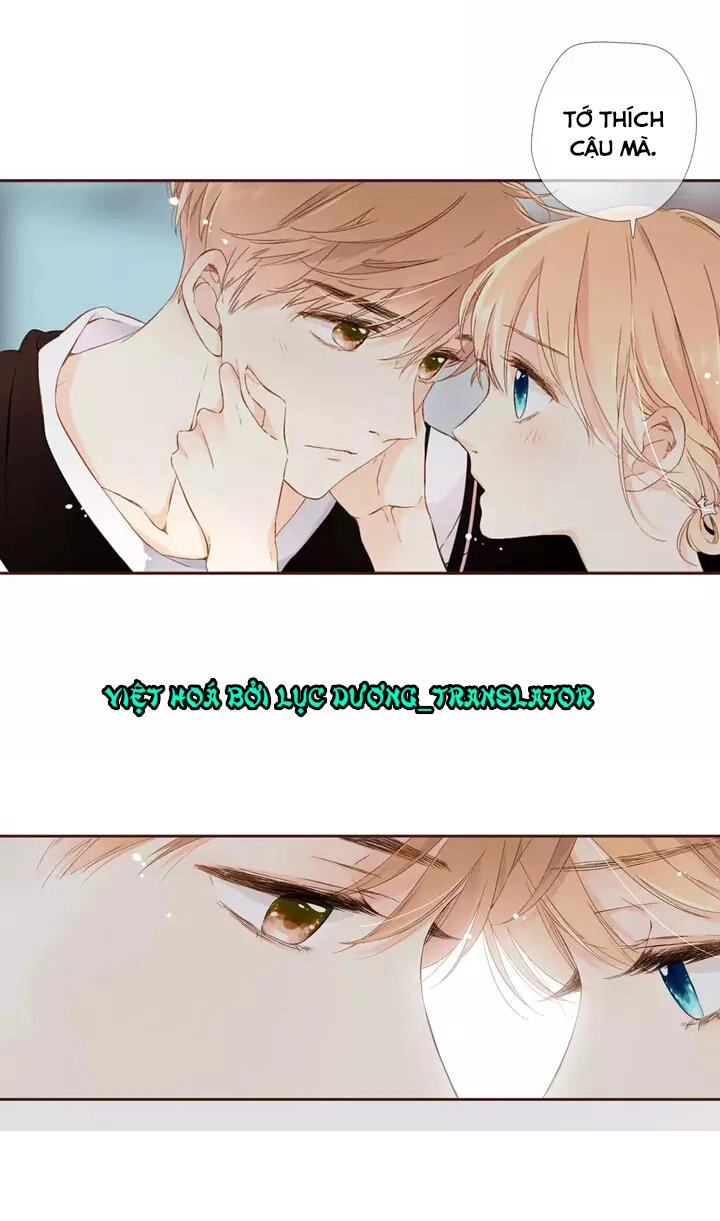 Tình Yêu Là Màu Hoa Anh Thảo Chapter 30.1 - 11