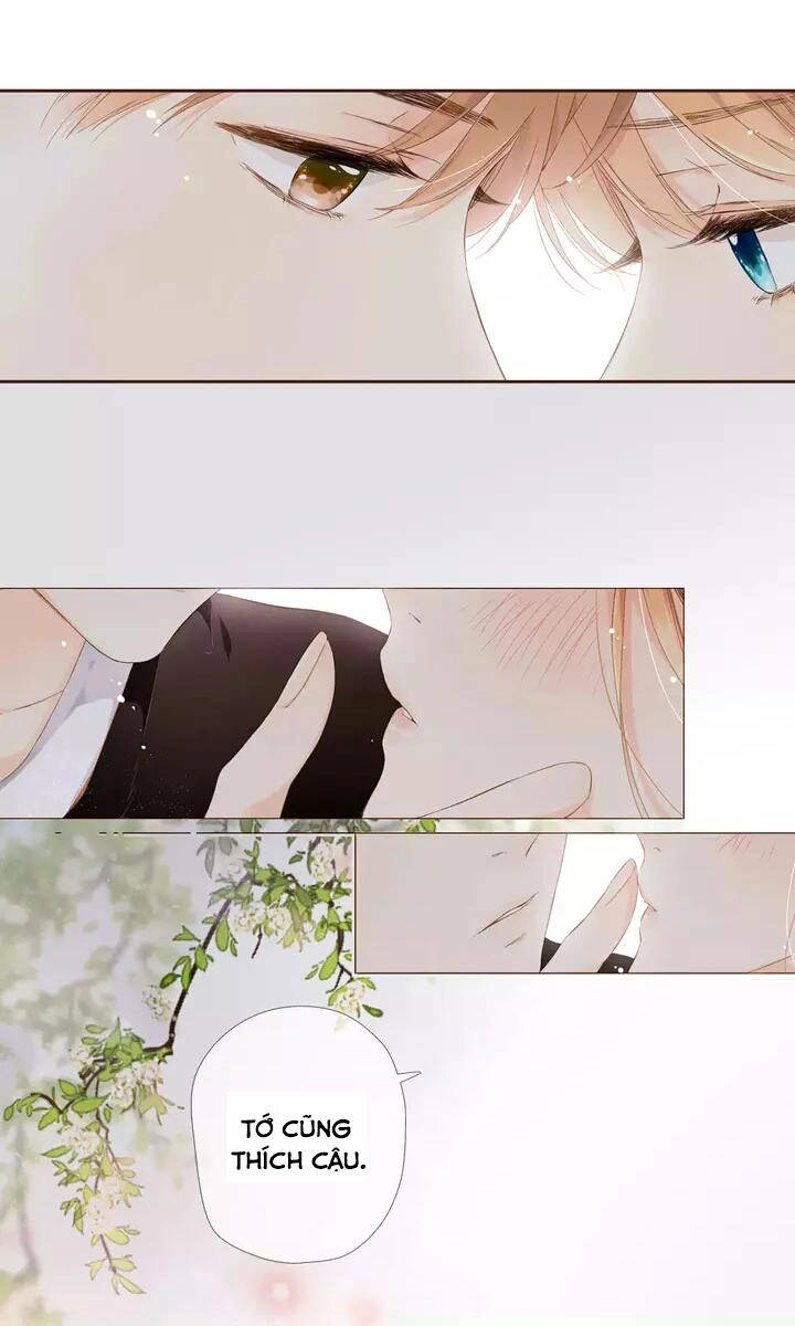 Tình Yêu Là Màu Hoa Anh Thảo Chapter 30.1 - 12