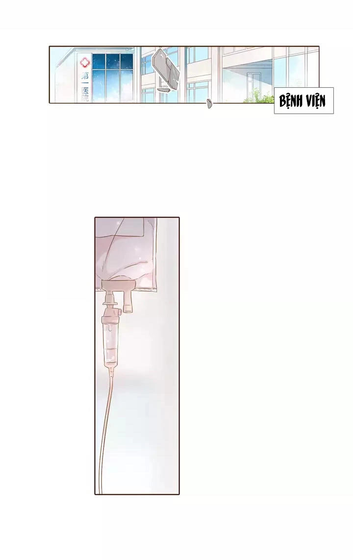 Tình Yêu Là Màu Hoa Anh Thảo Chapter 30.2 - 47