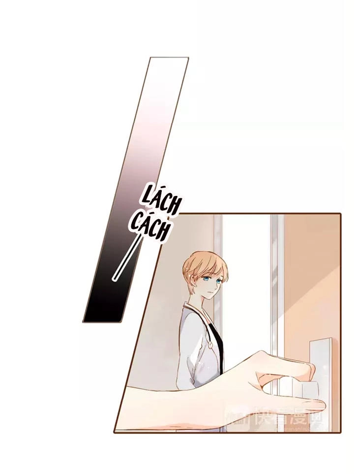 Tình Yêu Là Màu Hoa Anh Thảo Chapter 31.1 - 20