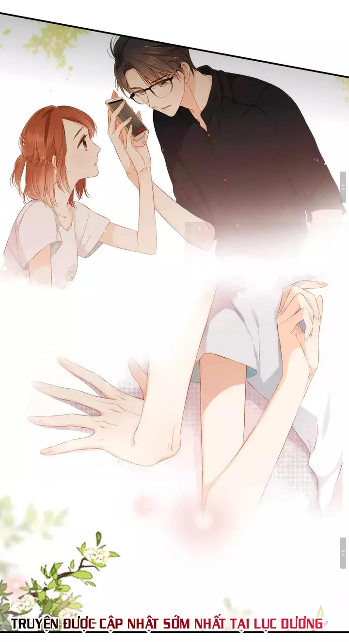 Tình Yêu Là Màu Hoa Anh Thảo Chapter 33.1 - 11