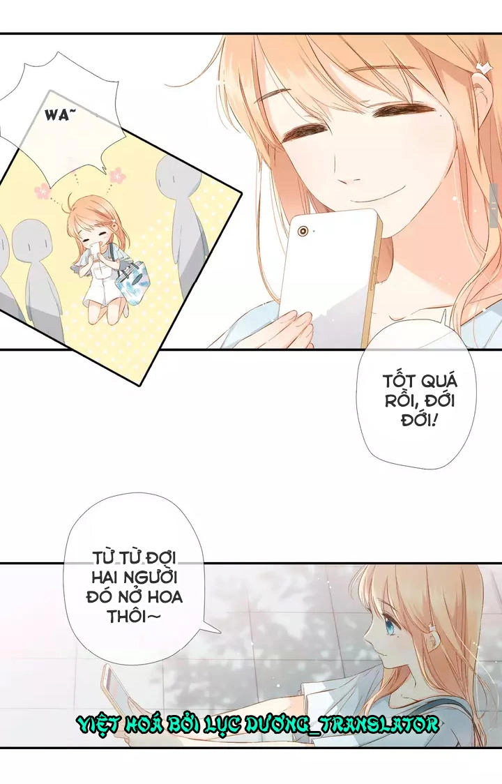 Tình Yêu Là Màu Hoa Anh Thảo Chapter 33.1 - 23