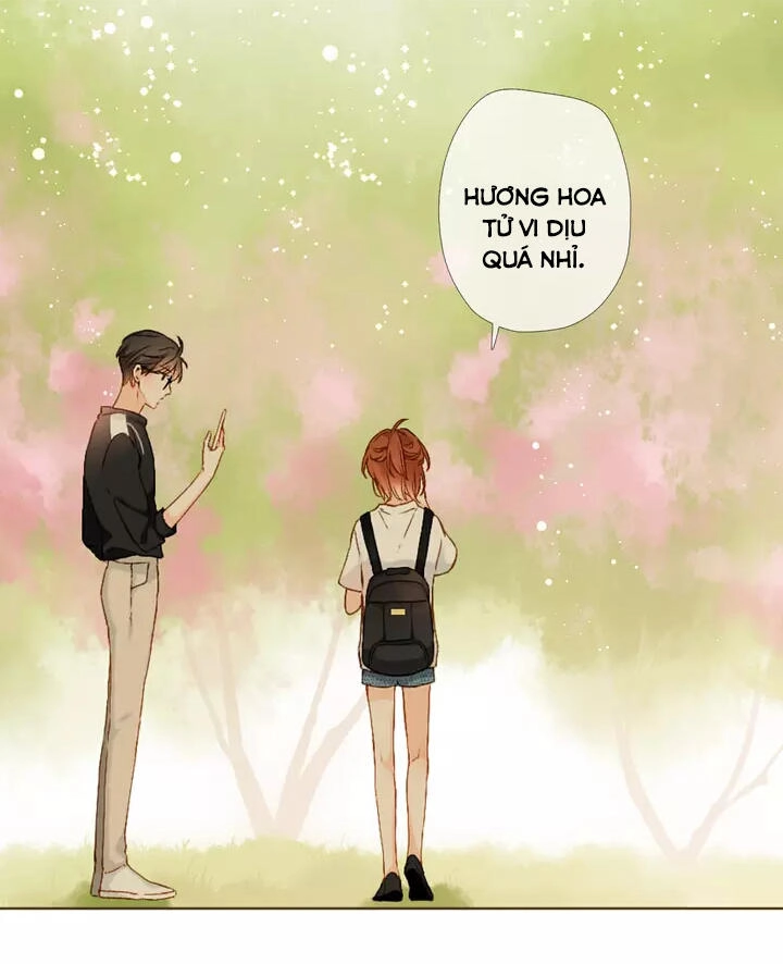 Tình Yêu Là Màu Hoa Anh Thảo Chapter 34.2 - 5