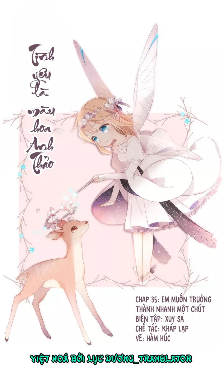 Tình Yêu Là Màu Hoa Anh Thảo Chapter 35.1 - 1