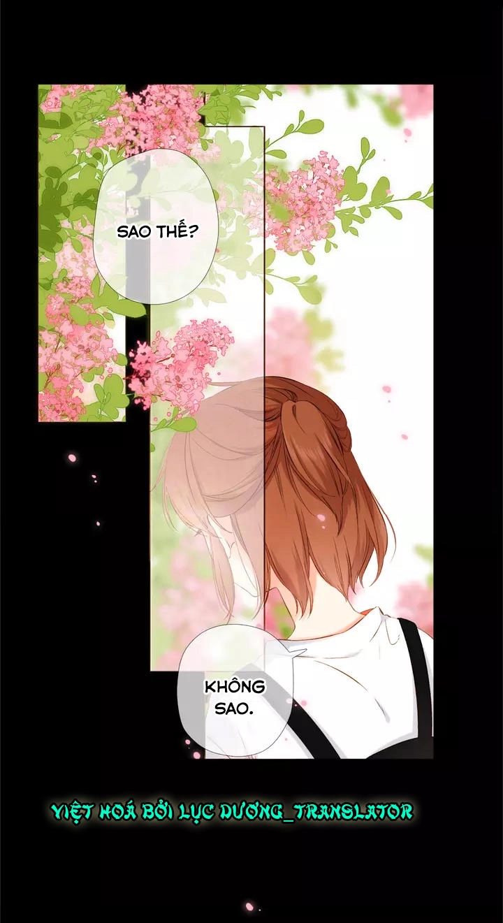 Tình Yêu Là Màu Hoa Anh Thảo Chapter 35.1 - 14