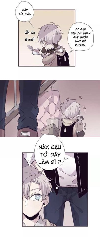 Huyền Sắc Thanh Âm Chapter 5 - 15