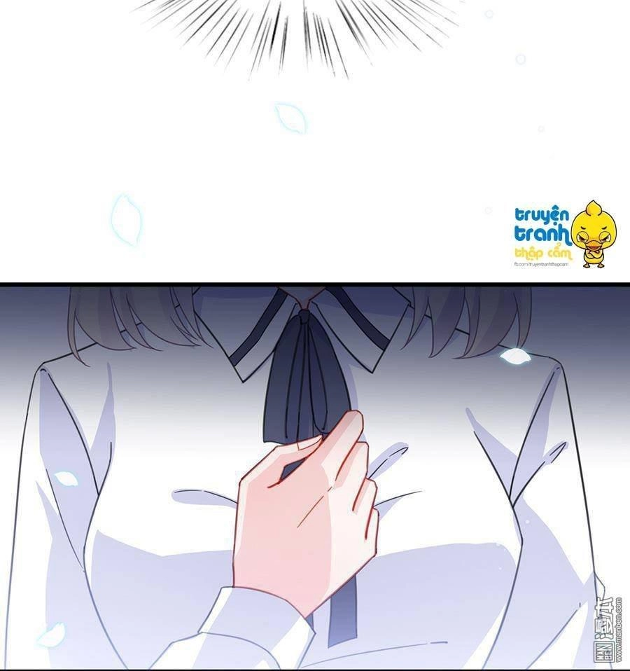 Nhạ Thượng Thủ Tịch Tổng Tài Chapter 168 - 5