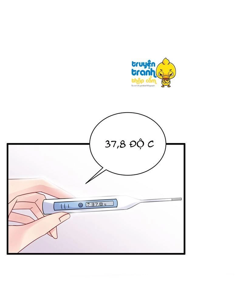 Nhạ Thượng Thủ Tịch Tổng Tài Chapter 203 - 11