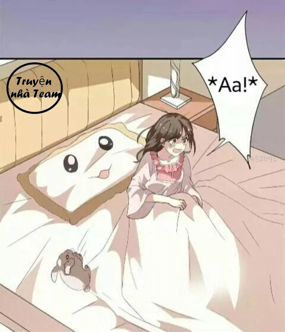 1 Nửa Hoàn Hảo Của Ceo Chapter 2 - 3