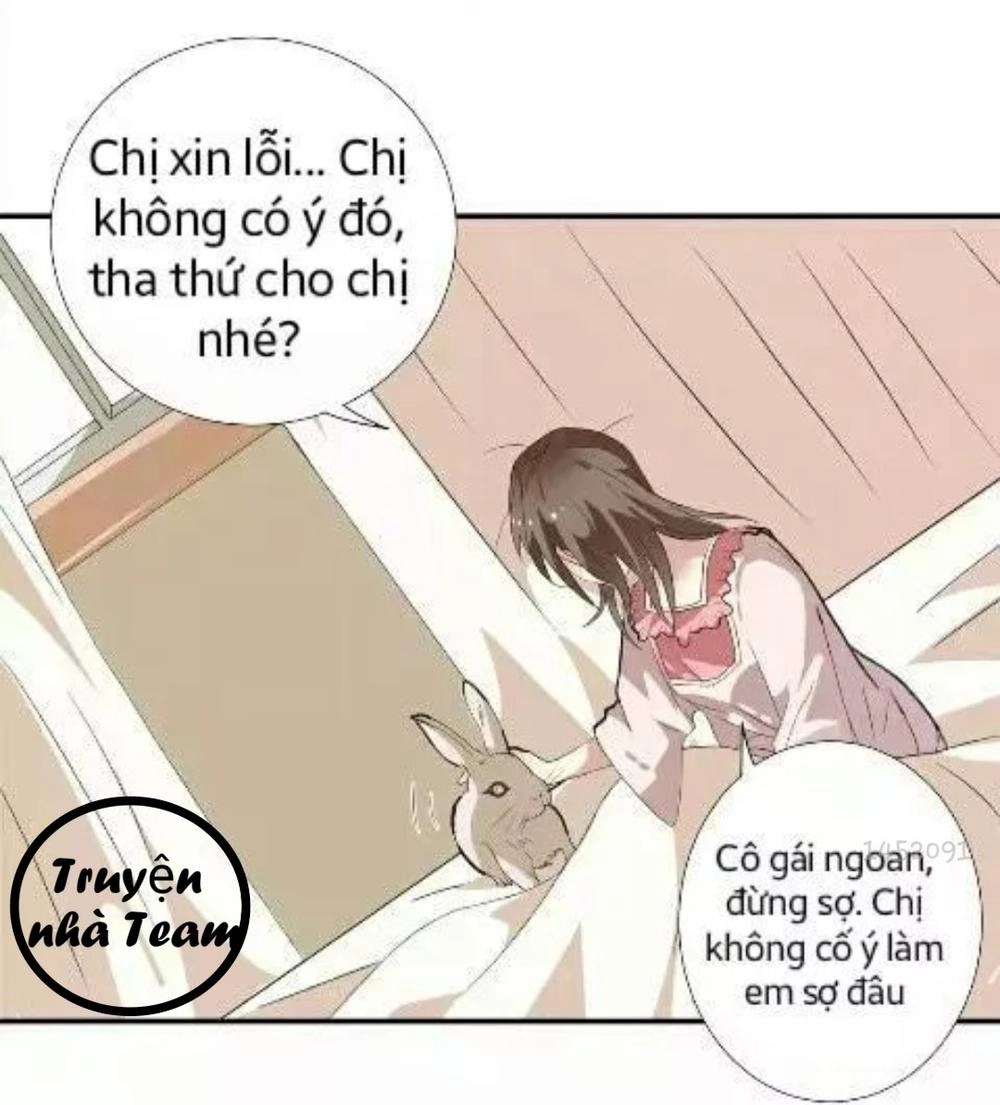 1 Nửa Hoàn Hảo Của Ceo Chapter 2 - 5