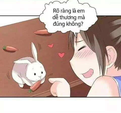 1 Nửa Hoàn Hảo Của Ceo Chapter 21 - 7