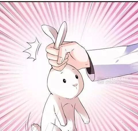 1 Nửa Hoàn Hảo Của Ceo Chapter 21 - 20