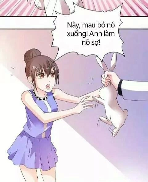 1 Nửa Hoàn Hảo Của Ceo Chapter 21 - 21