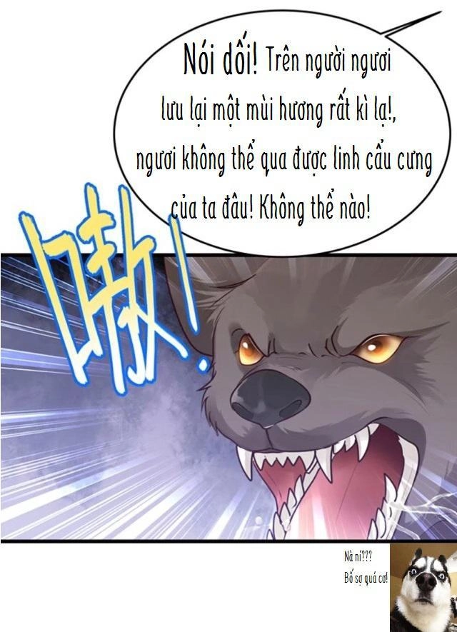 Trọng Sinh Thành Tiểu Nha Đầu Chapter 5 - 9