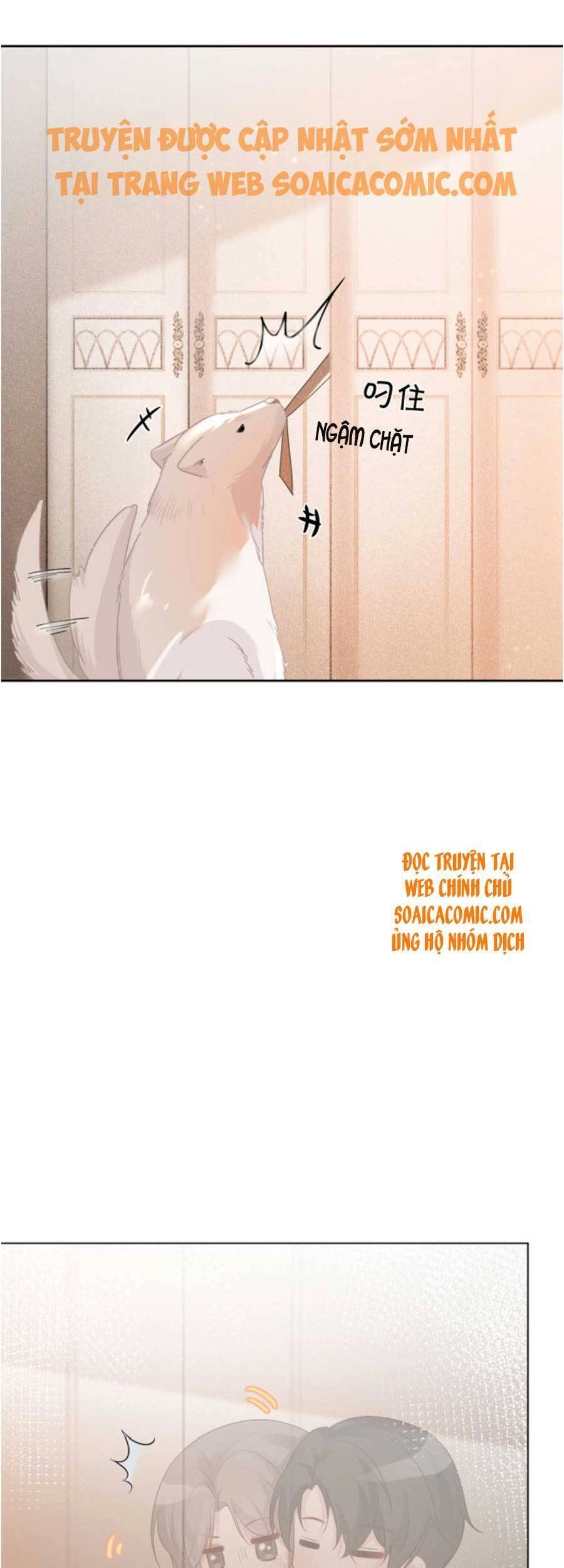 Được Các Anh Trai Chiều Chuộng Tôi Trở Nên Ngang Tàng Chapter 59 - 19