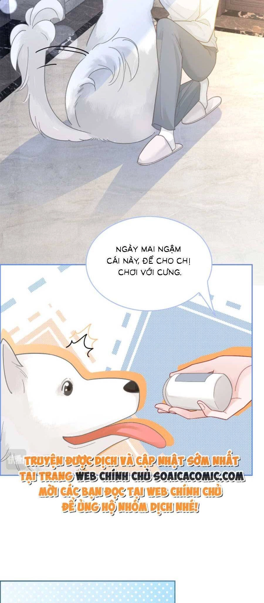 Được Các Anh Trai Chiều Chuộng Tôi Trở Nên Ngang Tàng Chapter 138 - 14