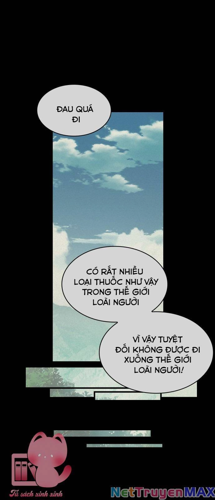 108 Cô Gái Chapter 42 - 53