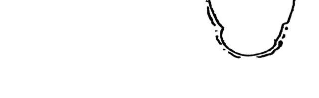 Thực Nhị Chapter 12.2 - 17