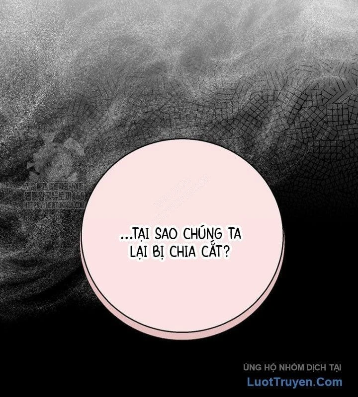 Tôi Thăng Cấp Bằng Kĩ Năng Chapter 117 - 126
