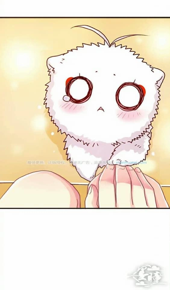 Tân Quang Thiên Chapter 37 - 8