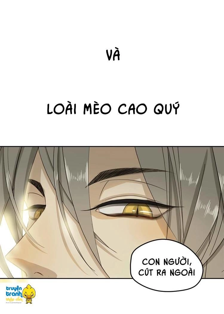 Cứu Mạng! Loài Mèo Thống Trị Thế Giới Rồi! Chapter 1 - 5