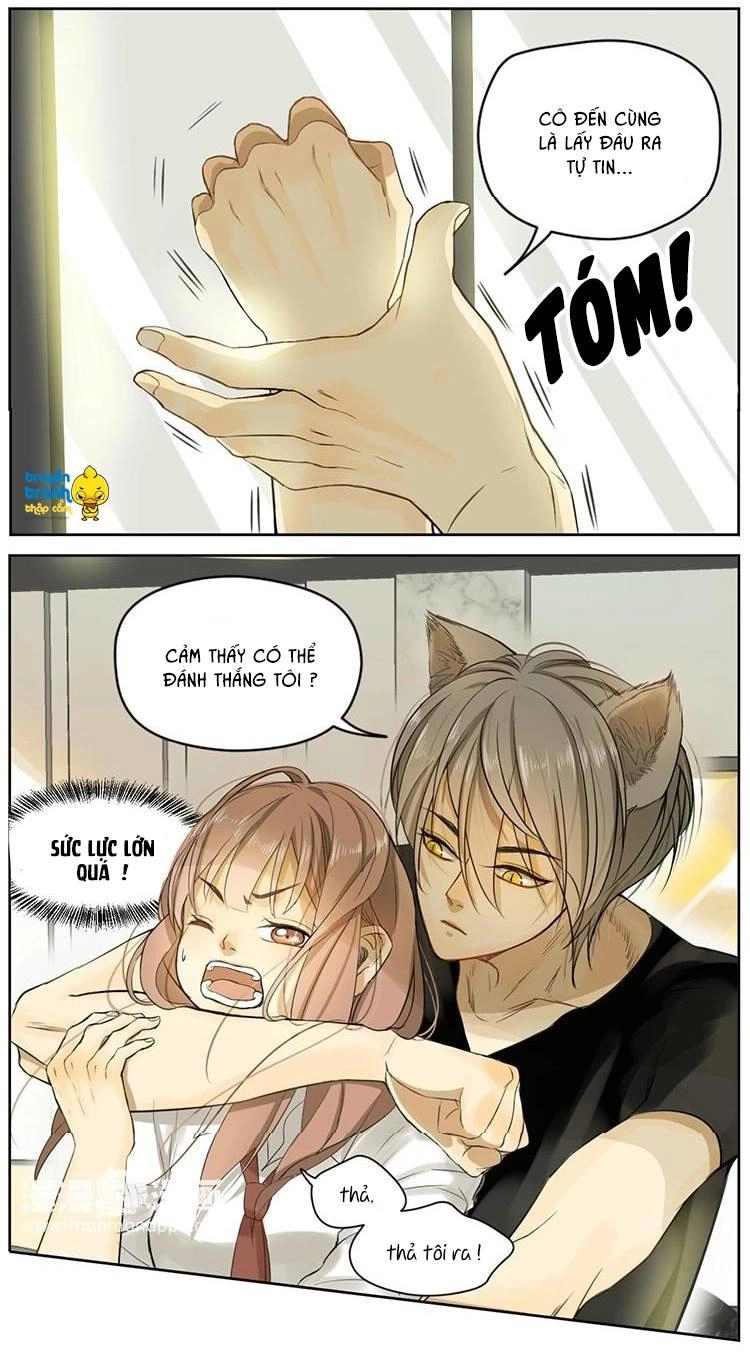 Cứu Mạng! Loài Mèo Thống Trị Thế Giới Rồi! Chapter 4 - 4