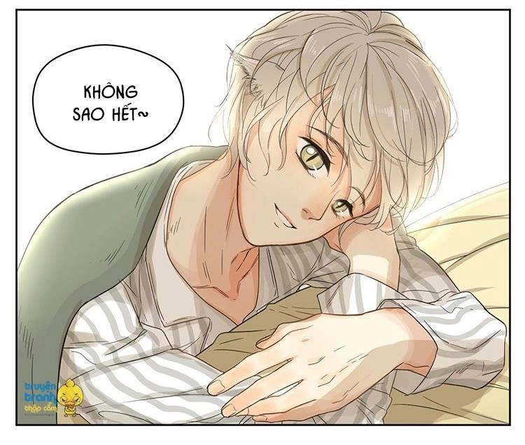 Cứu Mạng! Loài Mèo Thống Trị Thế Giới Rồi! Chapter 14 - 16