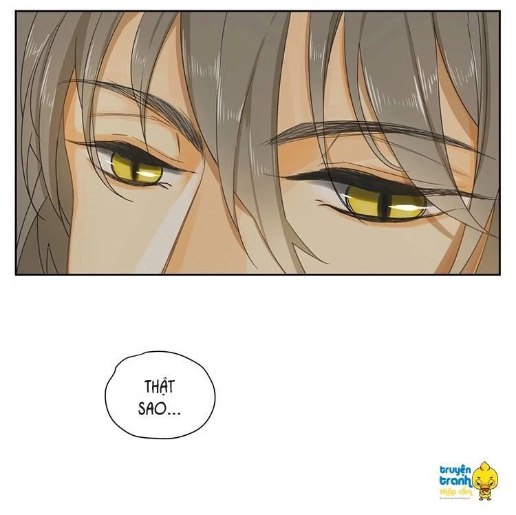 Cứu Mạng! Loài Mèo Thống Trị Thế Giới Rồi! Chapter 15 - 6