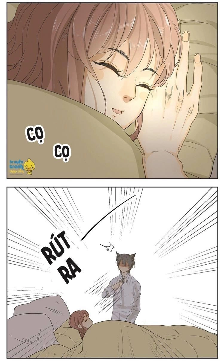 Cứu Mạng! Loài Mèo Thống Trị Thế Giới Rồi! Chapter 15 - 14