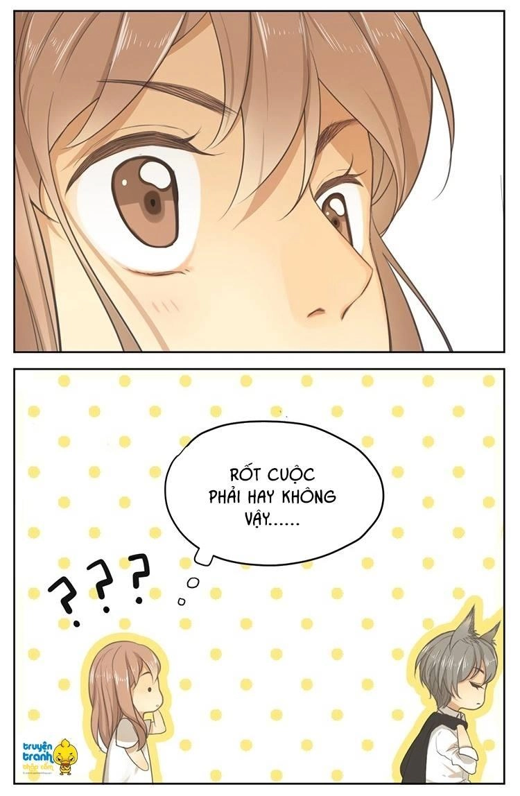 Cứu Mạng! Loài Mèo Thống Trị Thế Giới Rồi! Chapter 16 - 22