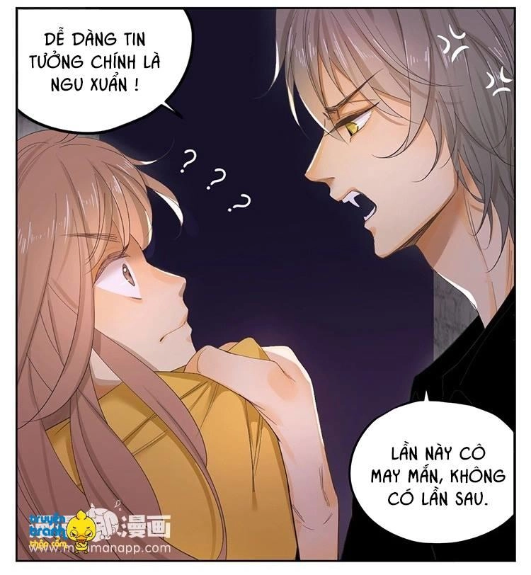 Cứu Mạng! Loài Mèo Thống Trị Thế Giới Rồi! Chapter 21 - 8