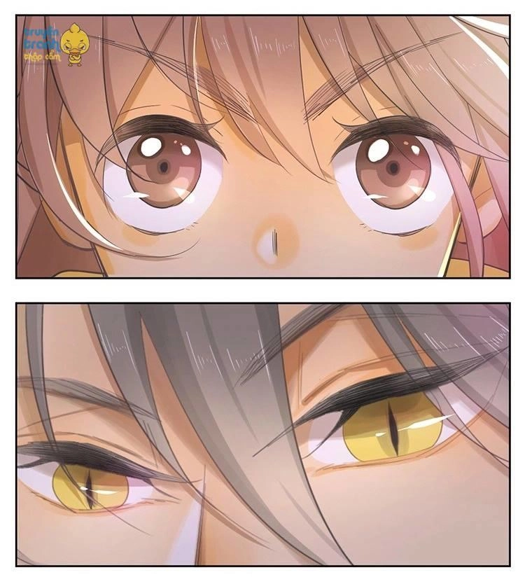 Cứu Mạng! Loài Mèo Thống Trị Thế Giới Rồi! Chapter 21 - 11