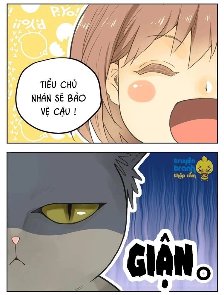 Cứu Mạng! Loài Mèo Thống Trị Thế Giới Rồi! Chapter 25 - 9