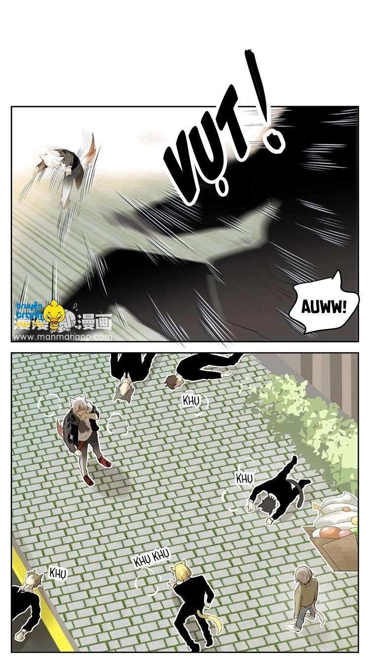 Cứu Mạng! Loài Mèo Thống Trị Thế Giới Rồi! Chapter 28 - 6