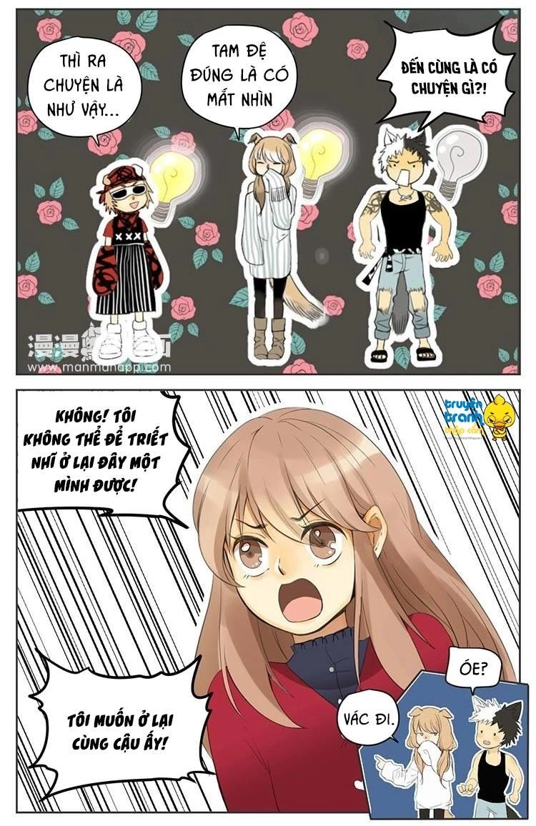 Cứu Mạng! Loài Mèo Thống Trị Thế Giới Rồi! Chapter 29 - 8