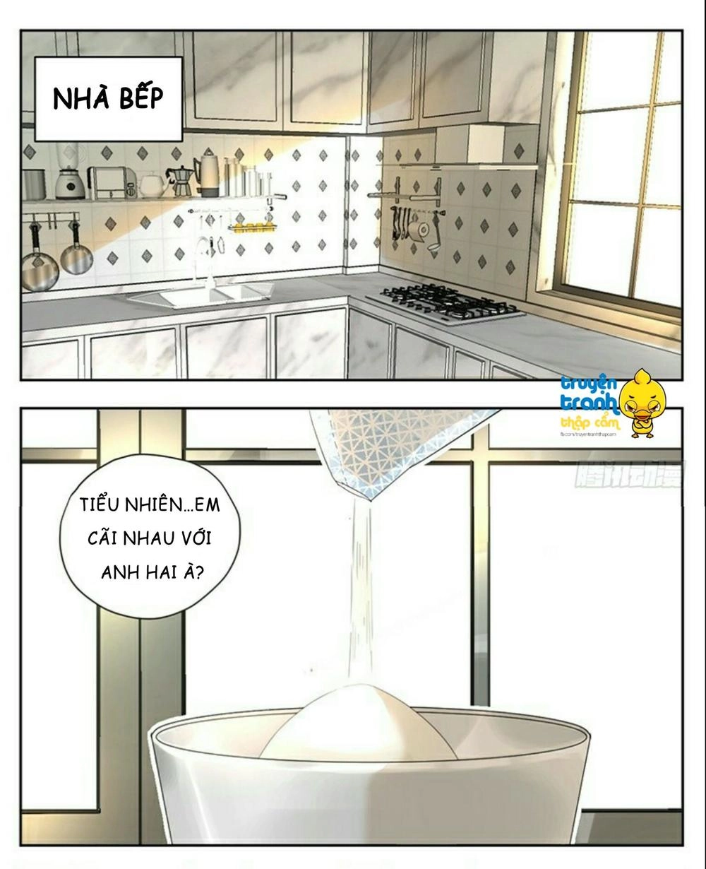 Cứu Mạng! Loài Mèo Thống Trị Thế Giới Rồi! Chapter 32 - 8