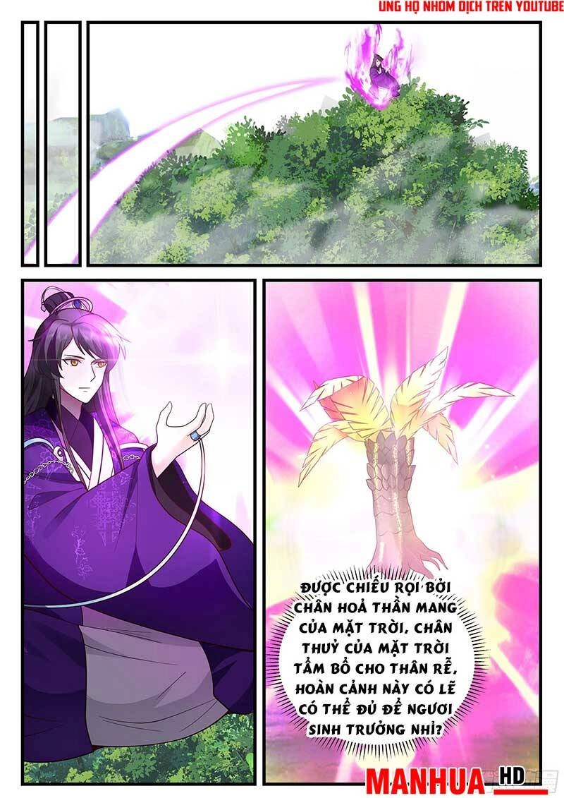 Tổ Sư Gia Đứng Đầu Lịch Sử Chapter 225 - 12