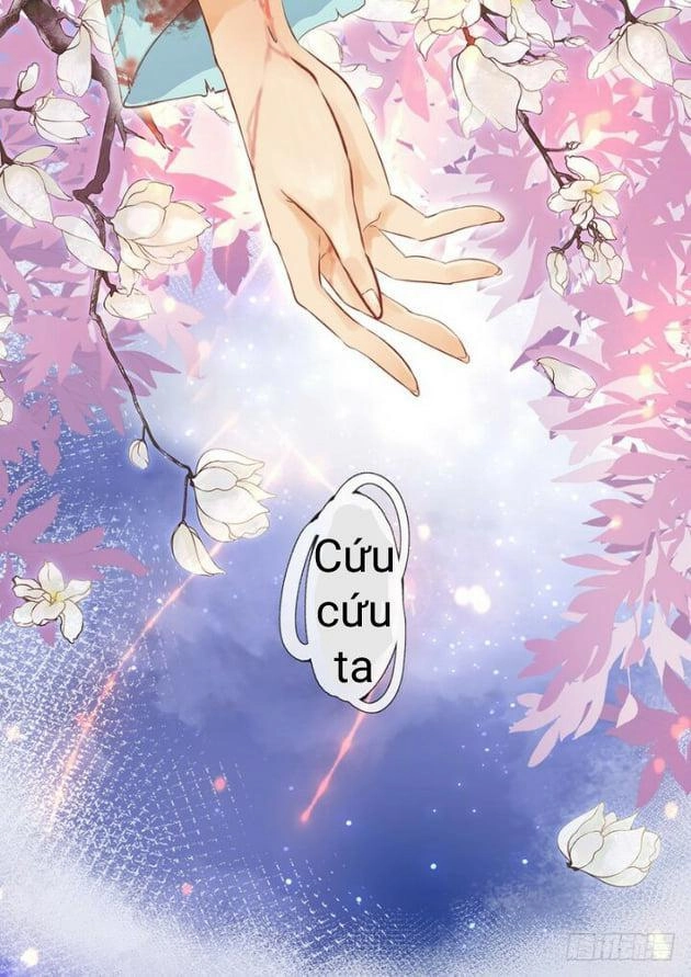 Gia Huynh Ở Lại Tìm Đường Chết Chapter 1 - 1