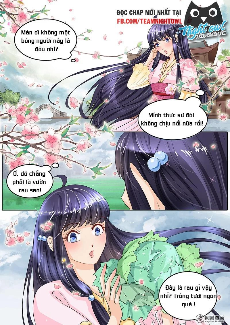 Gia Huynh Ở Lại Tìm Đường Chết Chapter 12 - 3