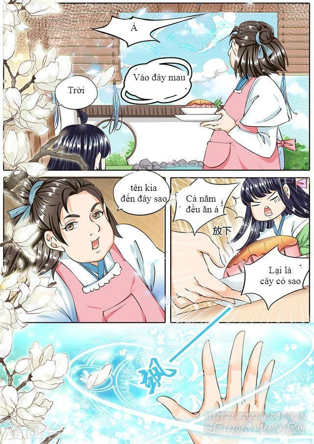 Gia Huynh Ở Lại Tìm Đường Chết Chapter 20 - 11