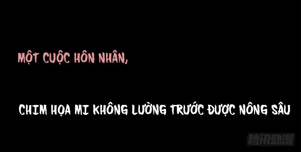 Ẩn Hôn Mật Ái: Cô Vợ Nhỏ Của Tổng Tài Tàn Nhẫn Chapter 1 - 48