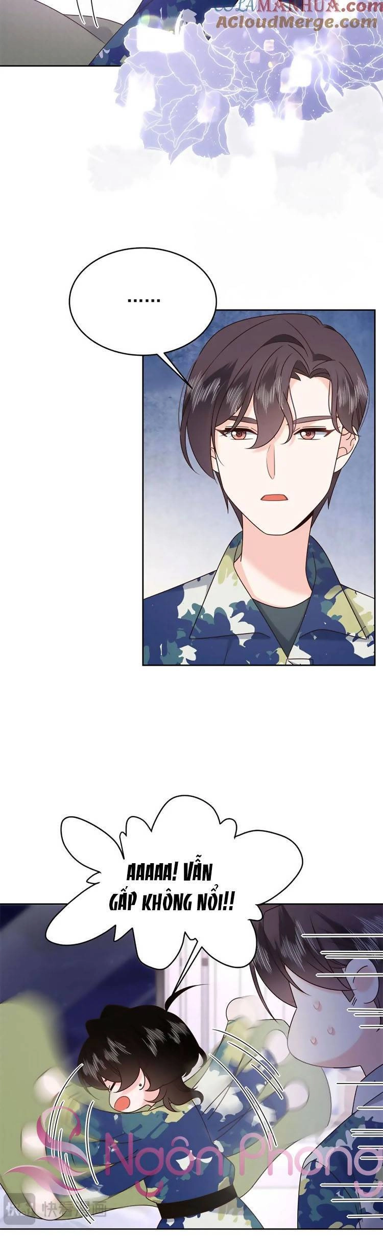 Hotboy Quốc Dân Là Nữ Chapter 442 - 19